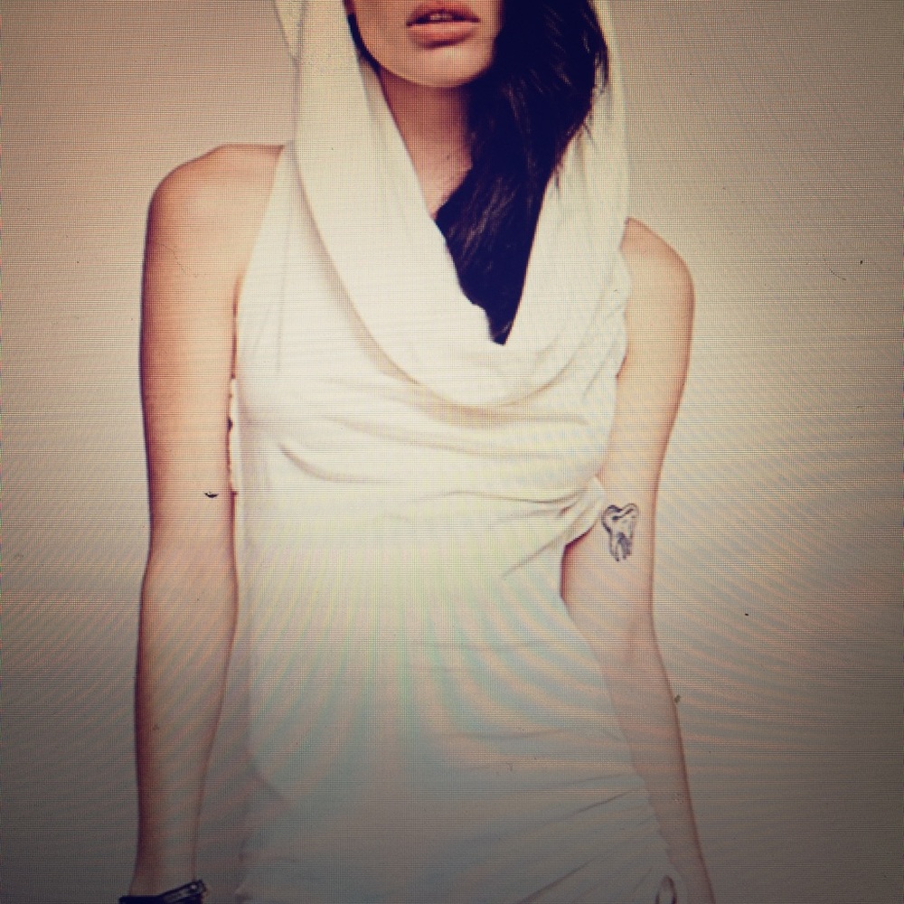 Zhenzymph Star Anise Dress size Small unworn.